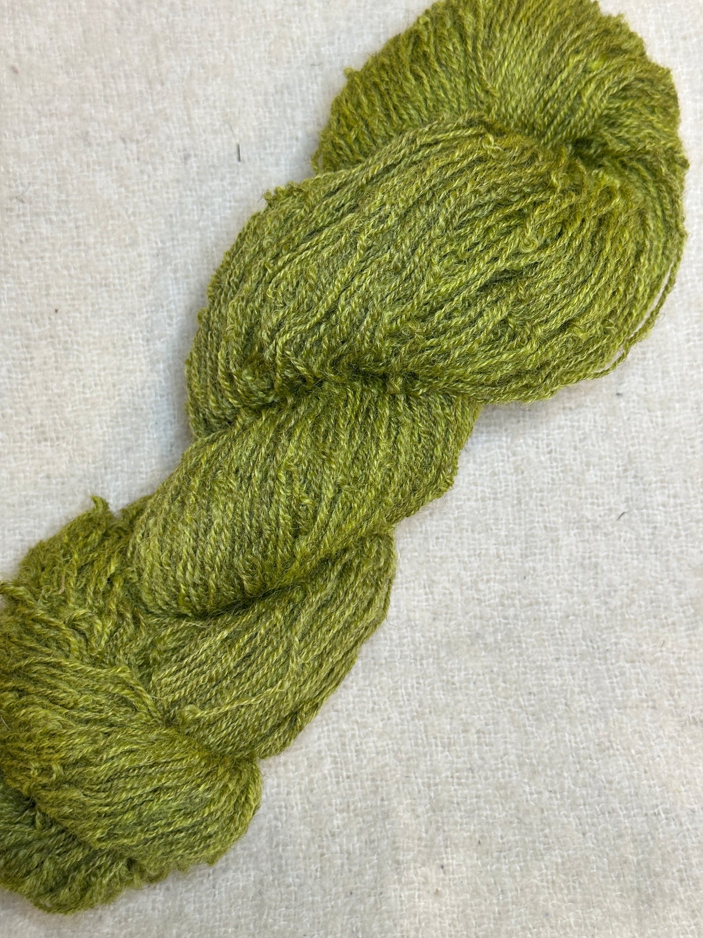 Maplemont Coopworth Sport