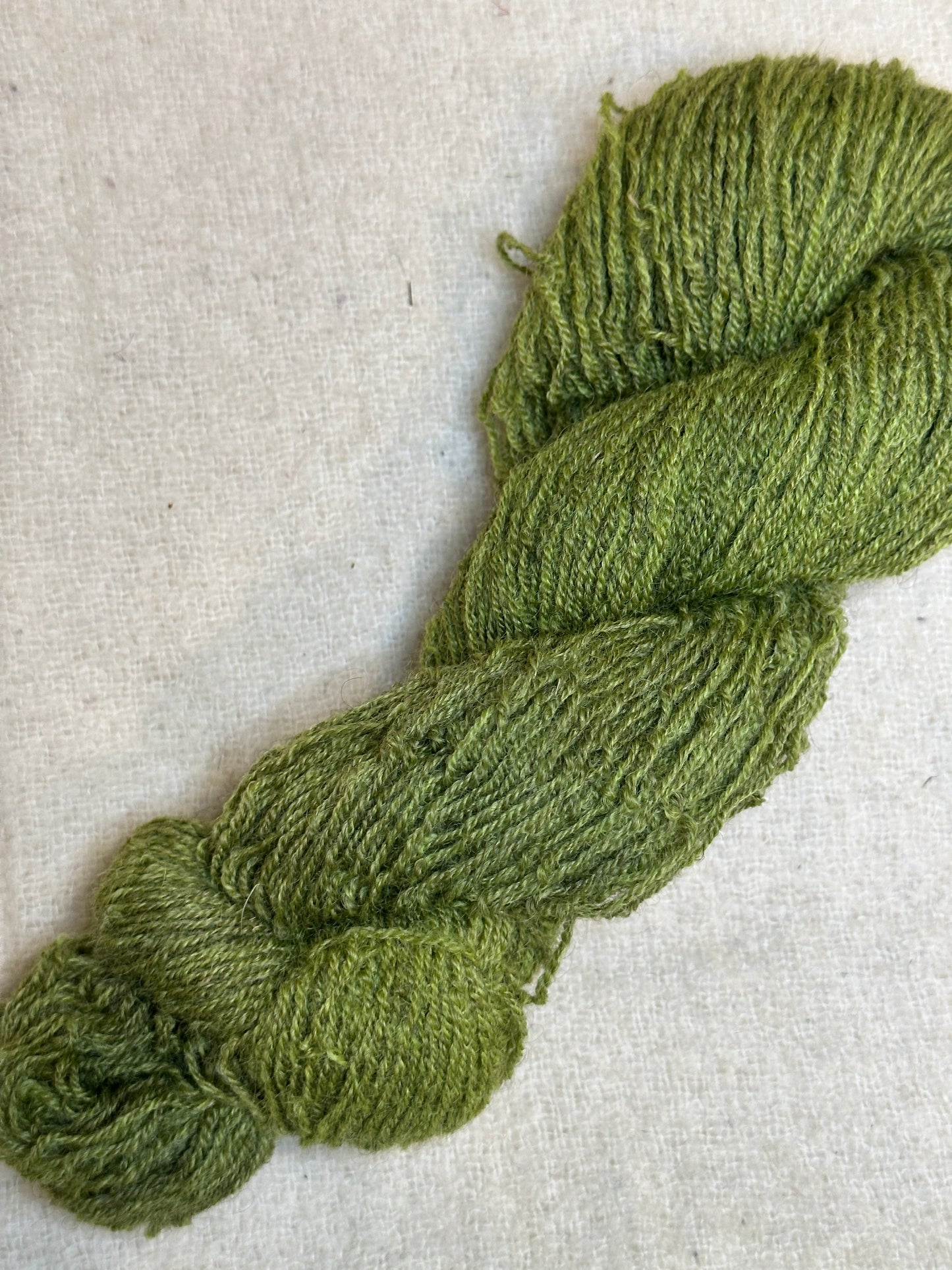 Maplemont Coopworth Sport