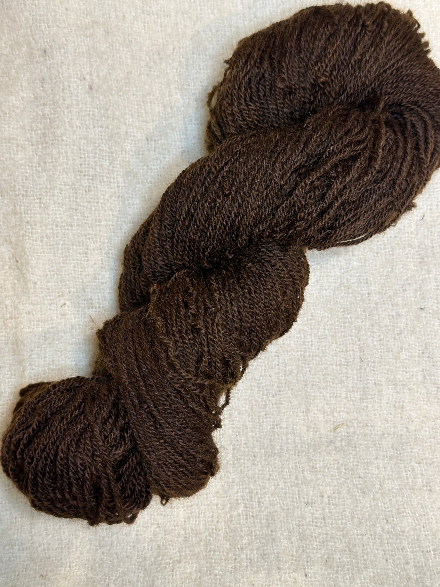 Maplemont Coopworth DK