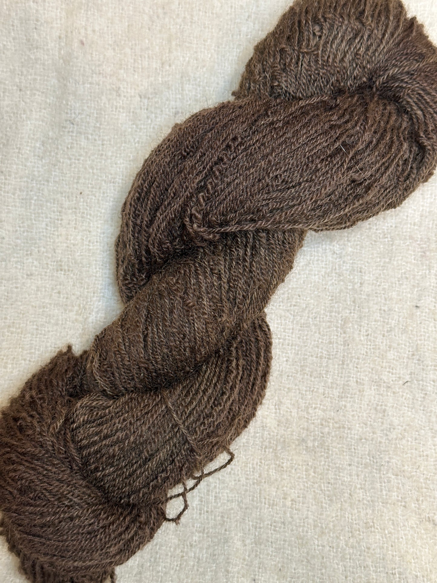 Maplemont Coopworth Sport