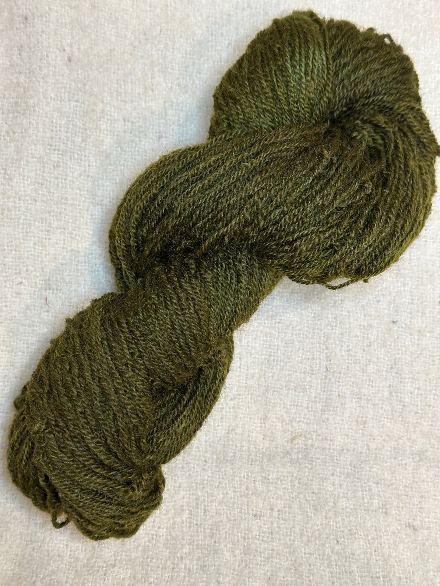Maplemont Coopworth DK