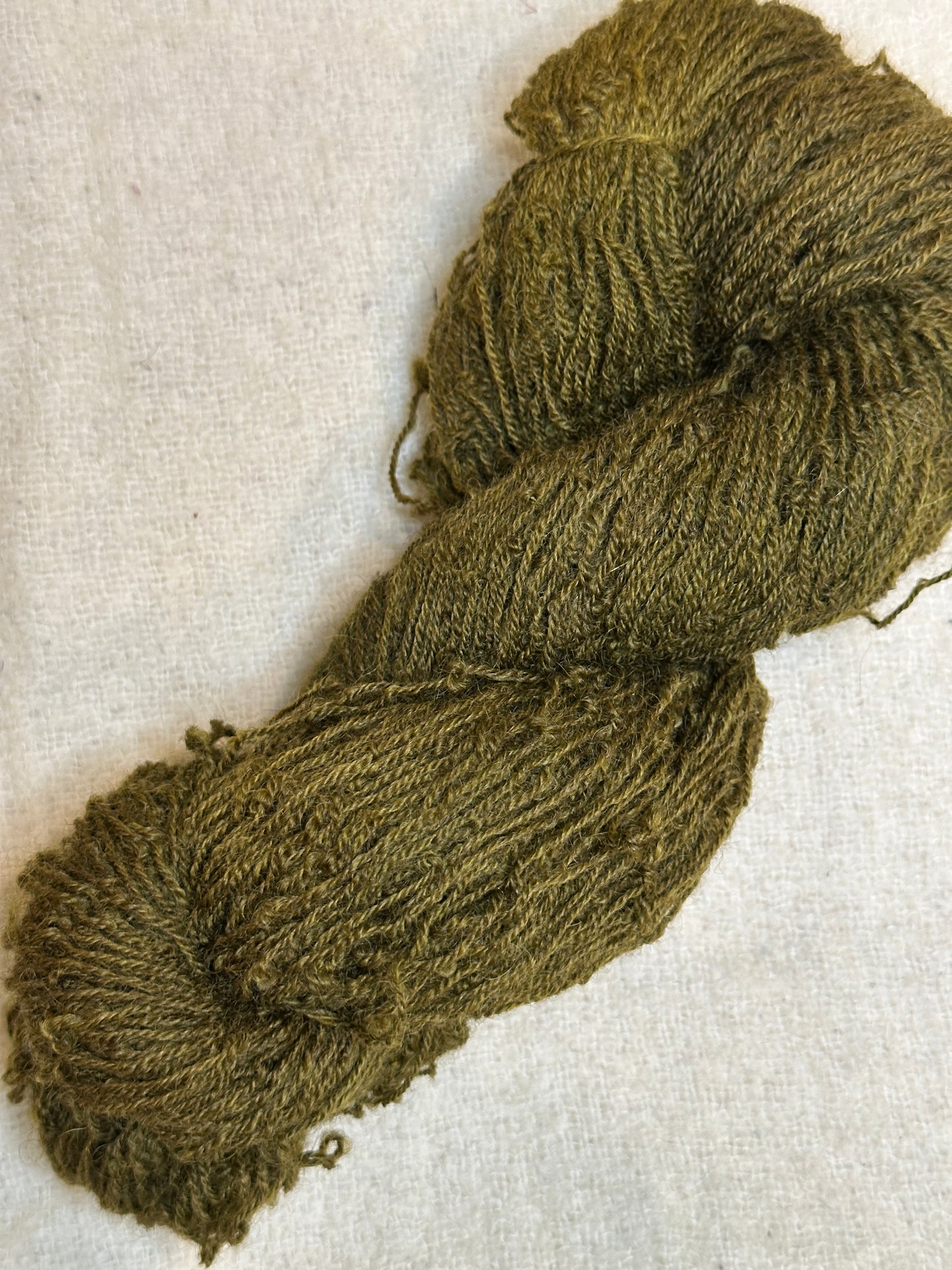 Maplemont Coopworth Sport