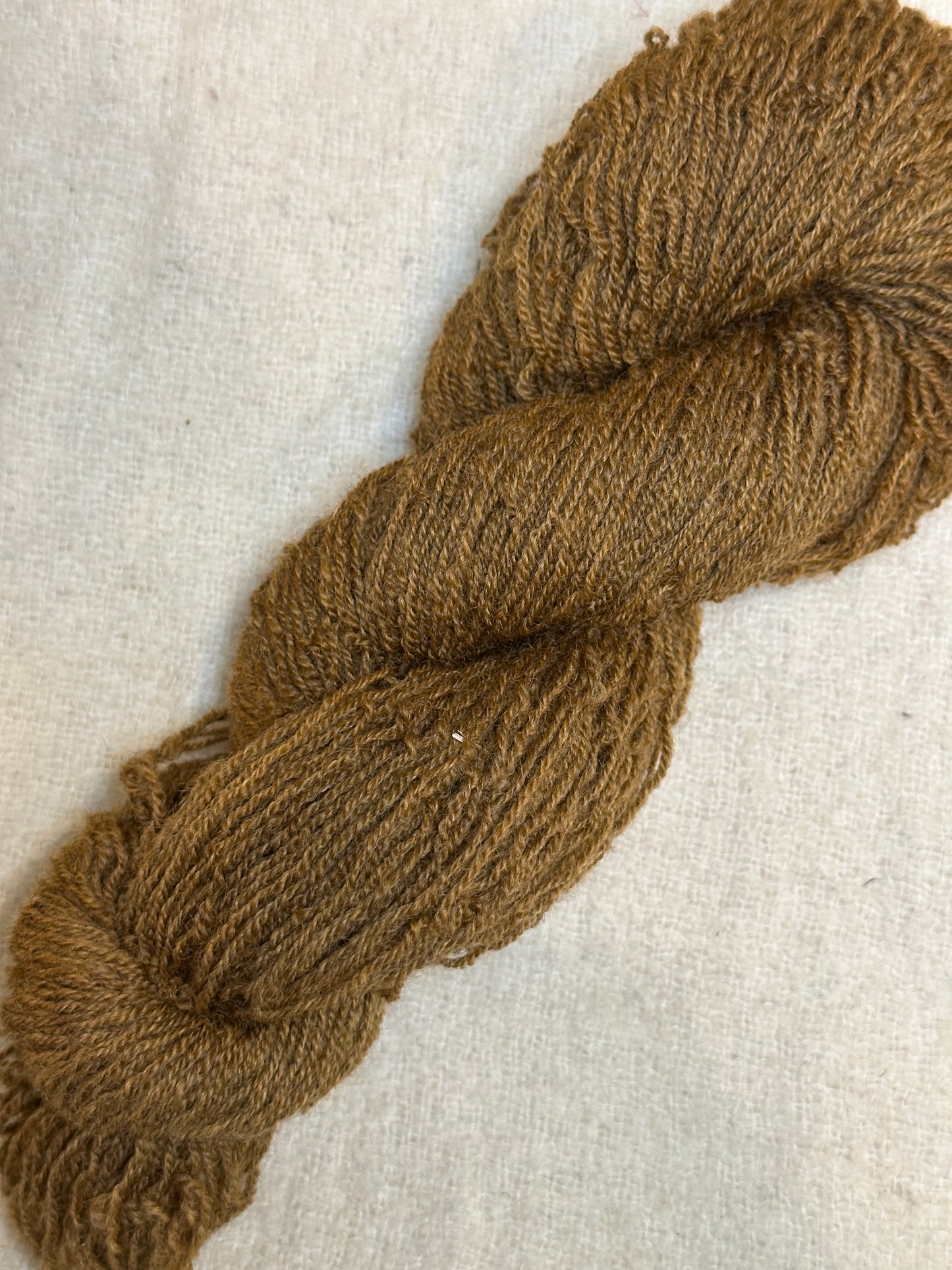 Maplemont Coopworth Sport