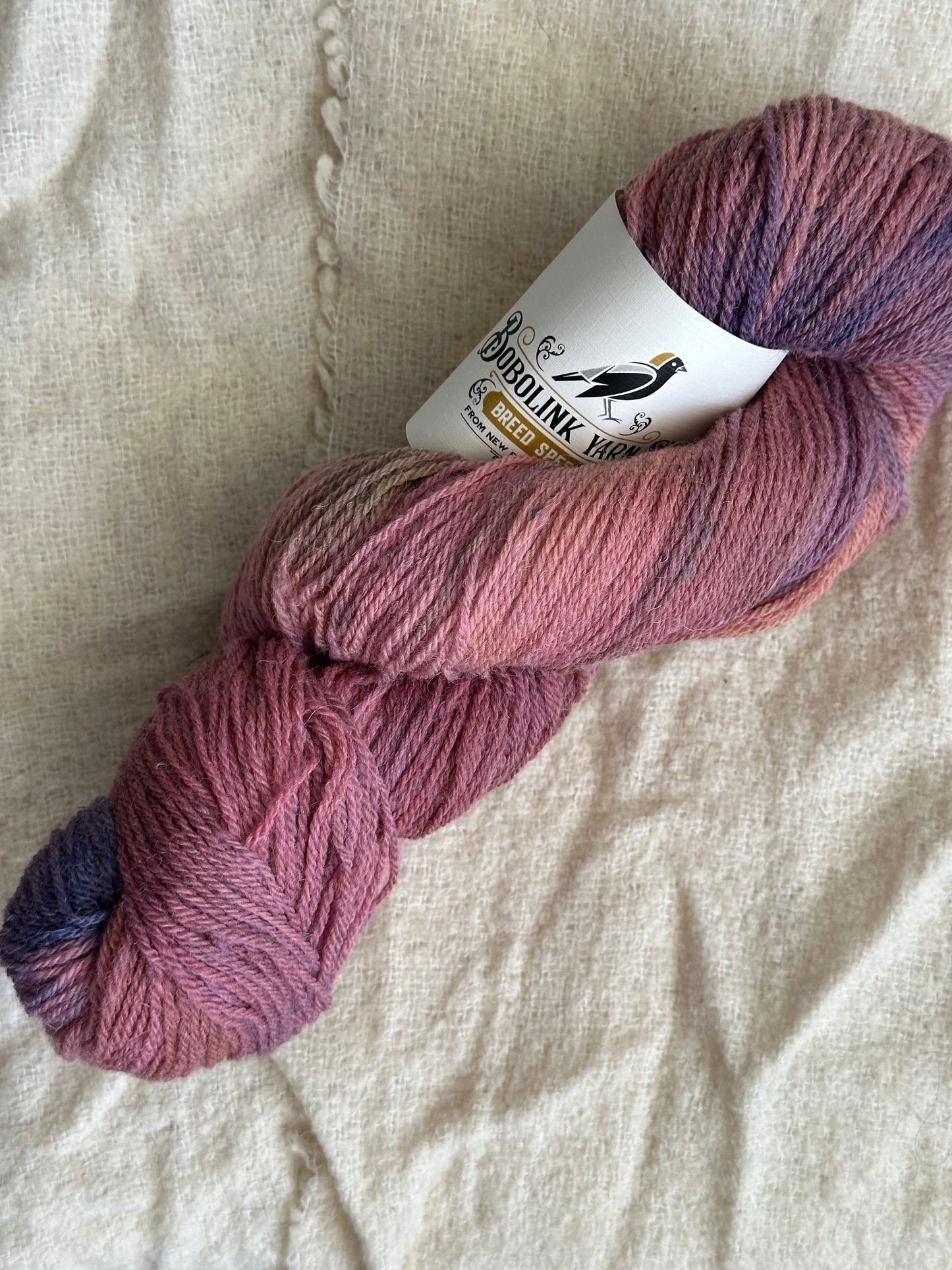 Settlement Sock