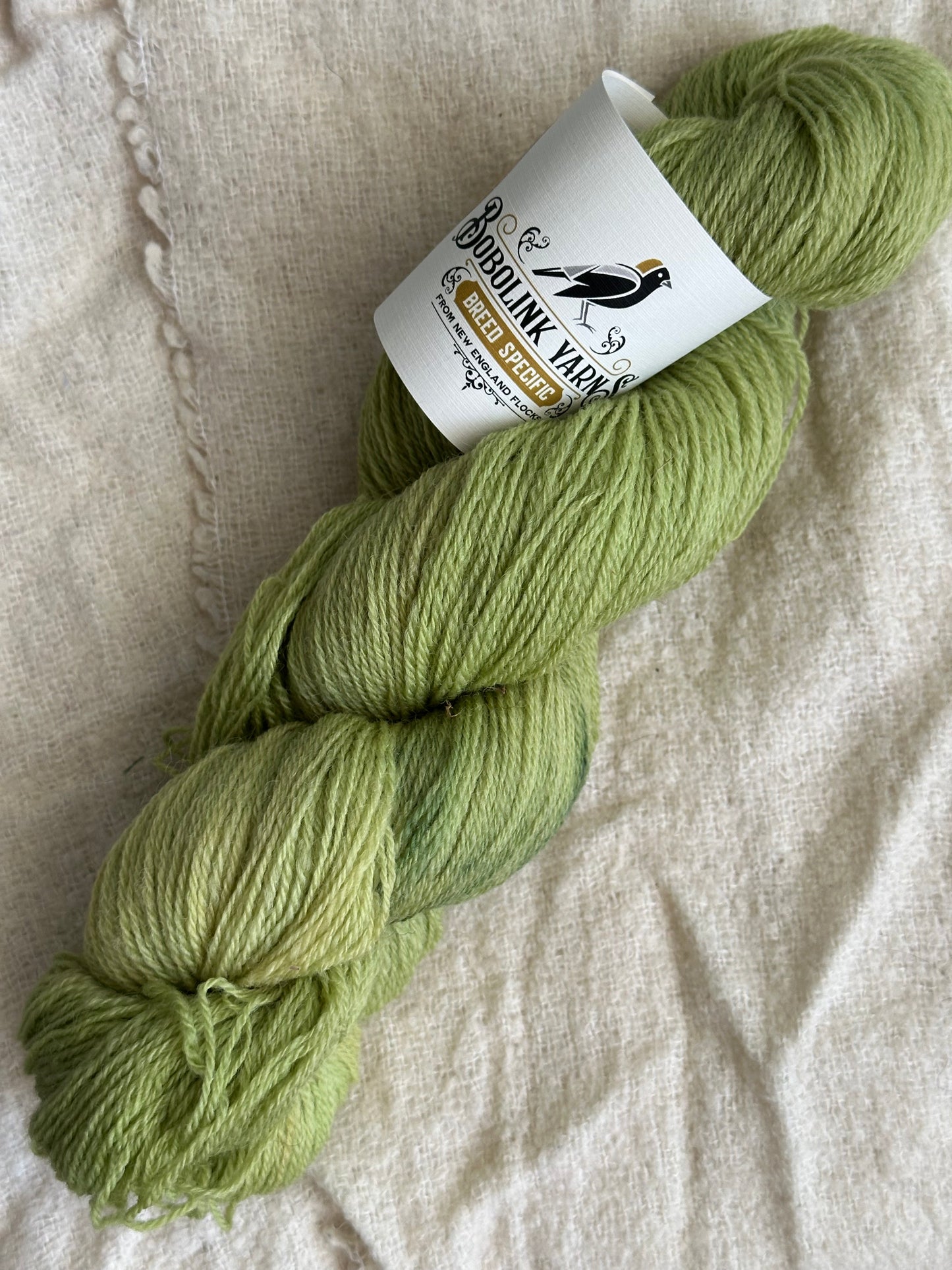 Settlement Sock