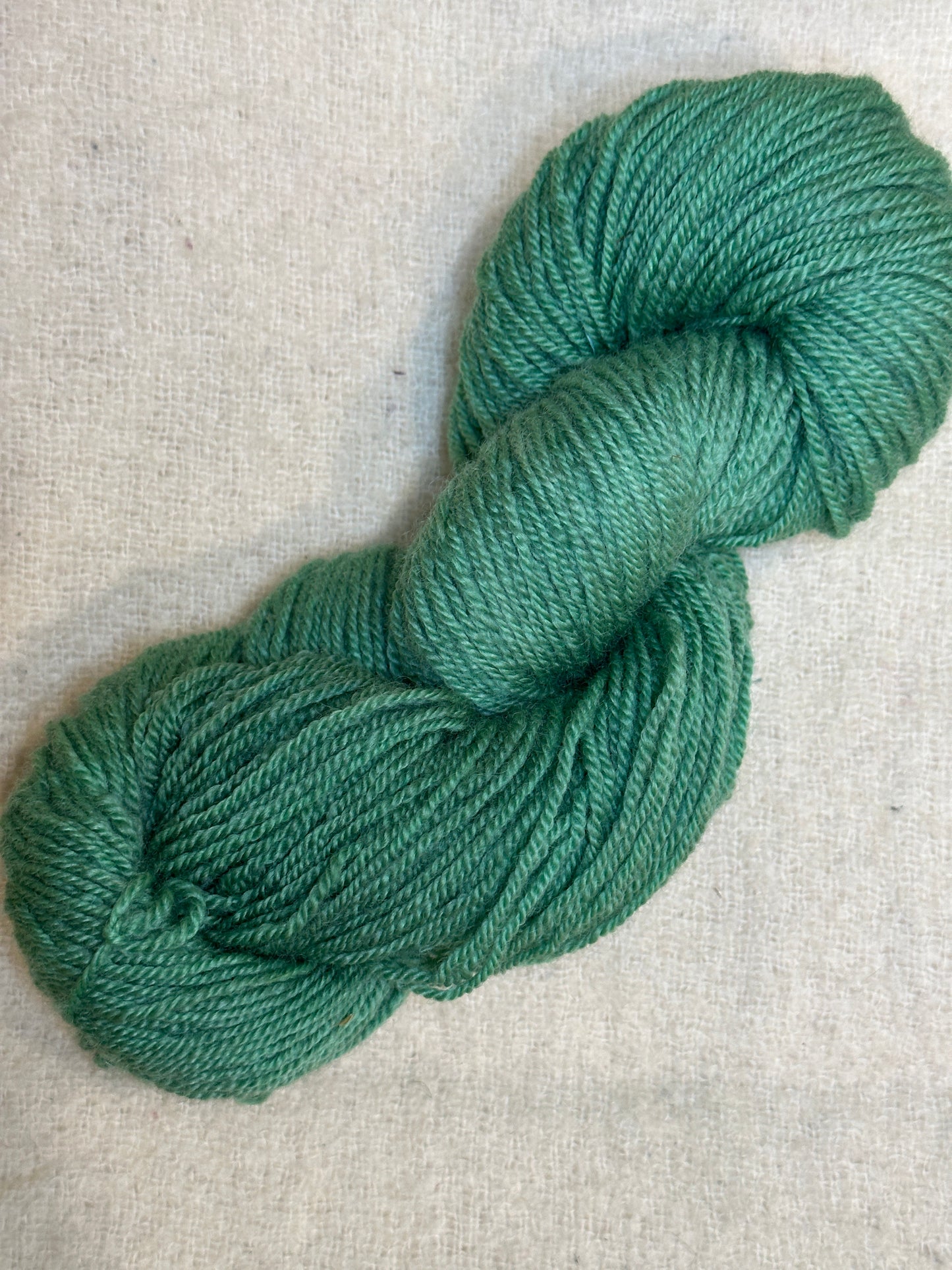 Maplemont BFL DK