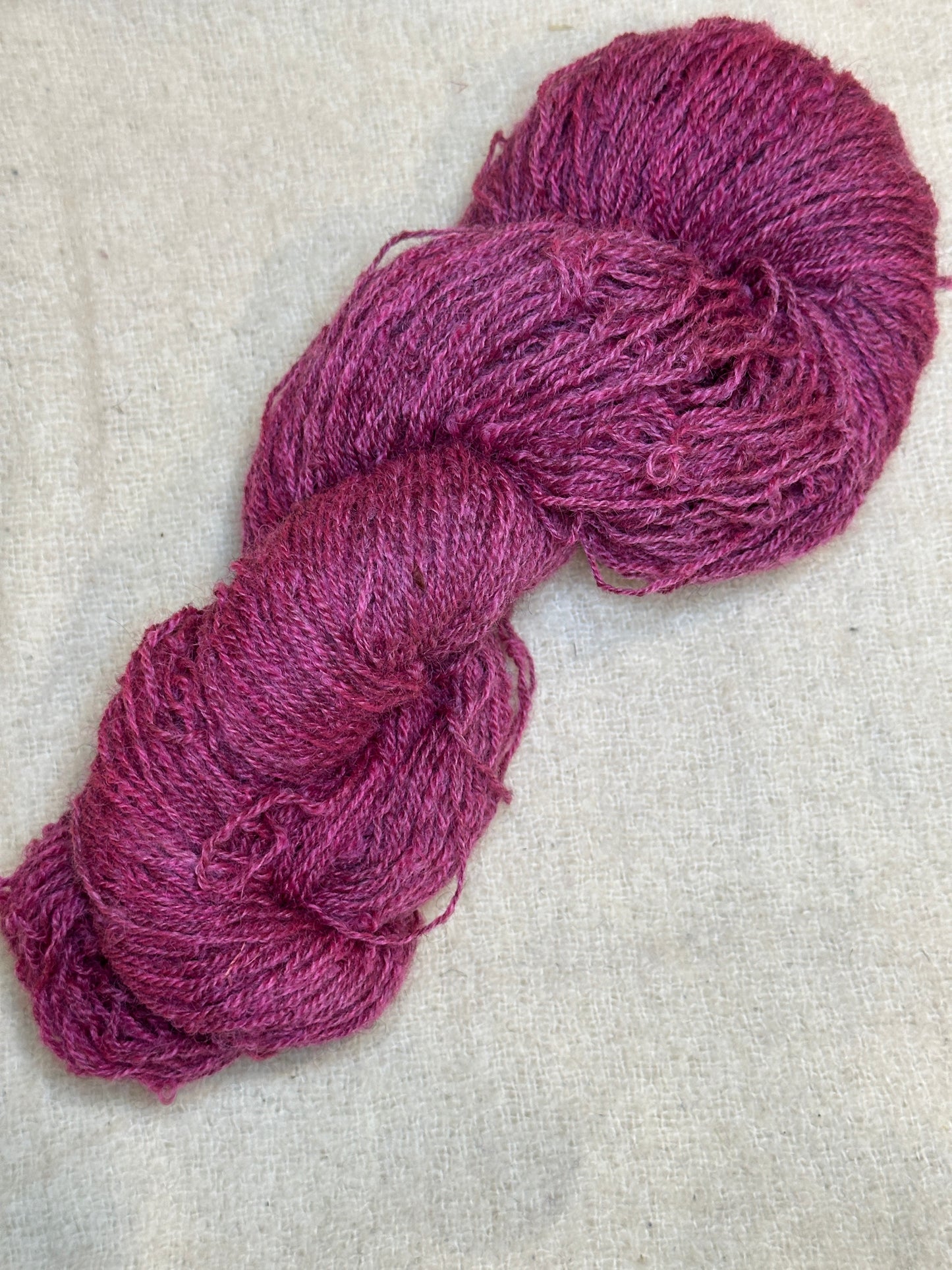 Maplemont Coopworth Sport
