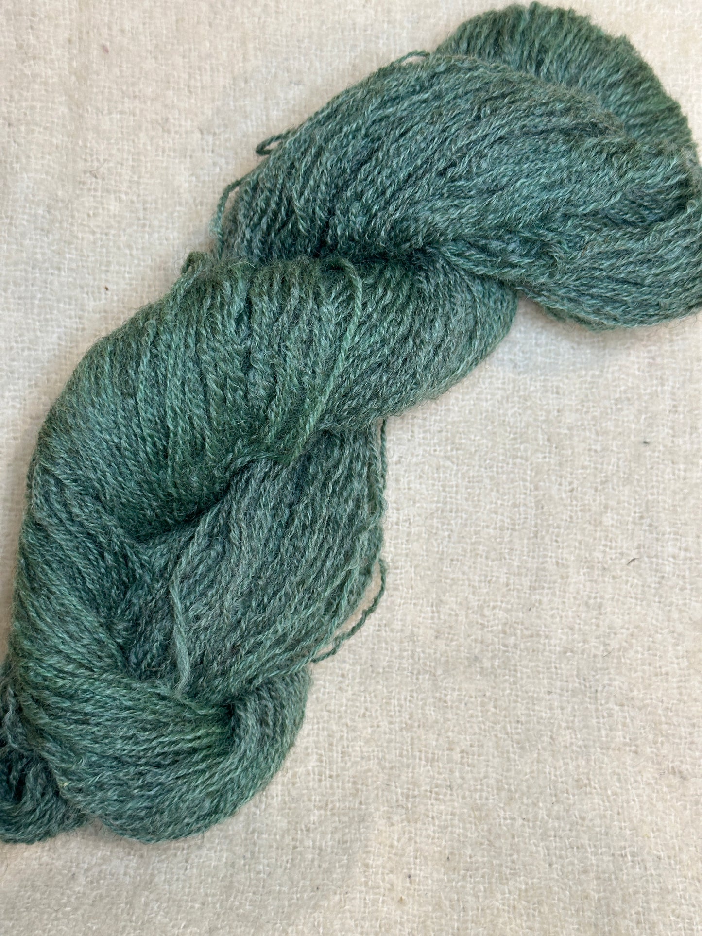 Maplemont Coopworth Sport