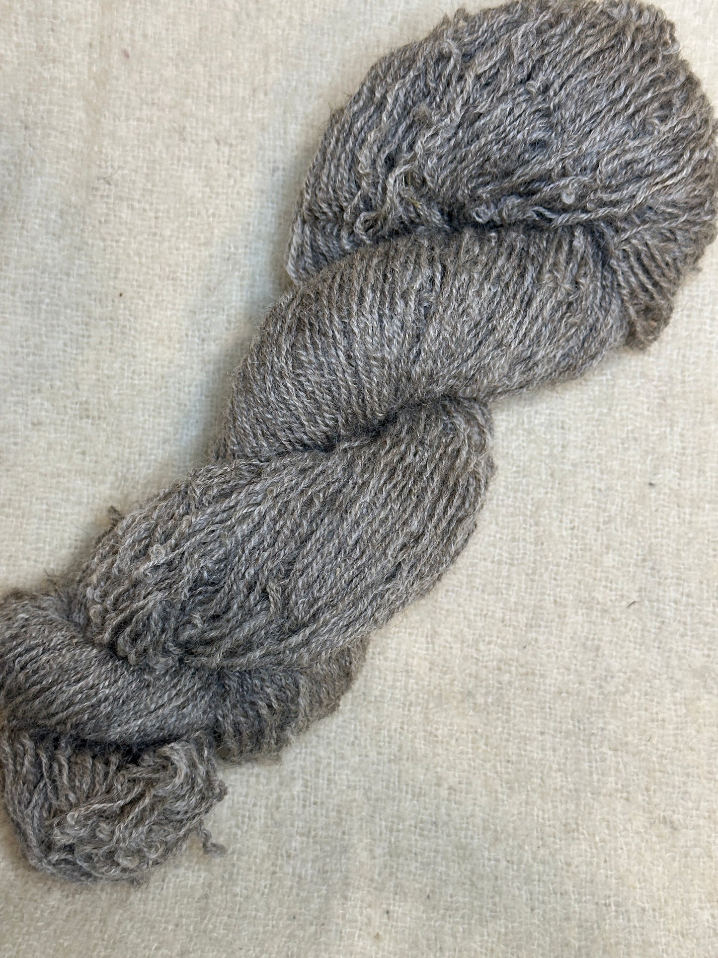 Maplemont Coopworth Sport