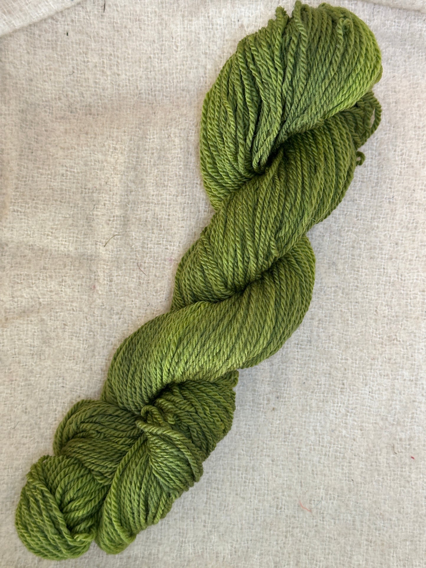 Green Mt Sport