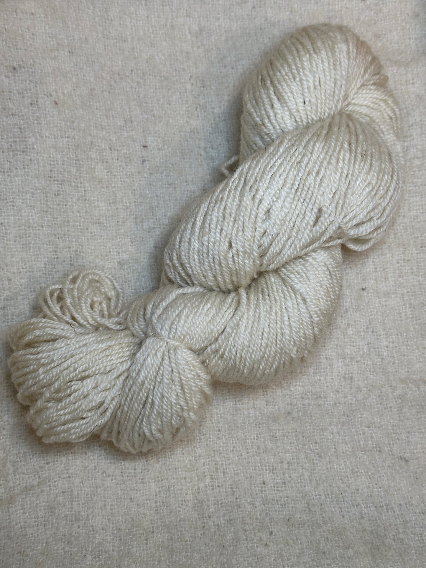Maplemont BFL DK
