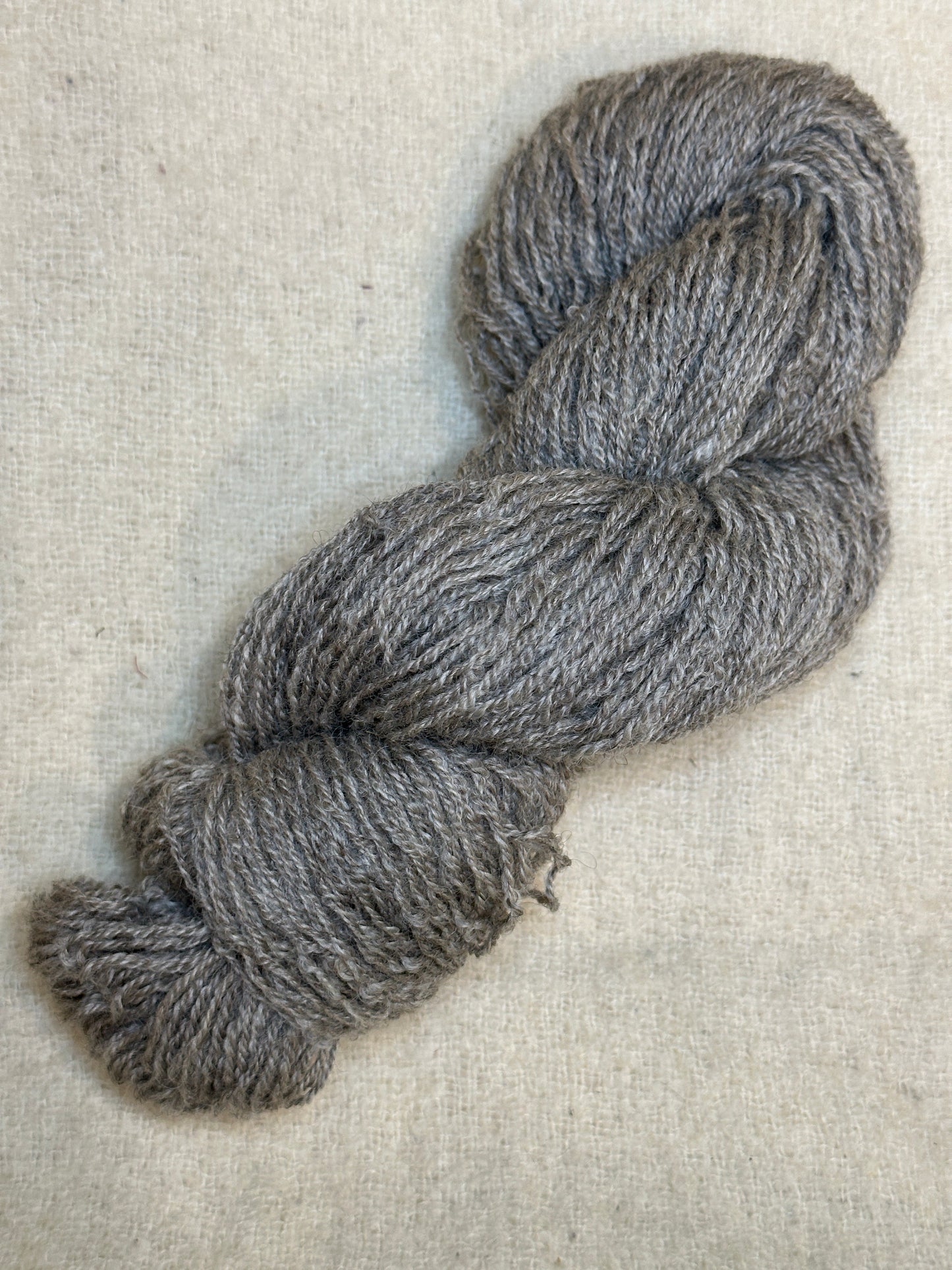 Maplemont Coopworth DK