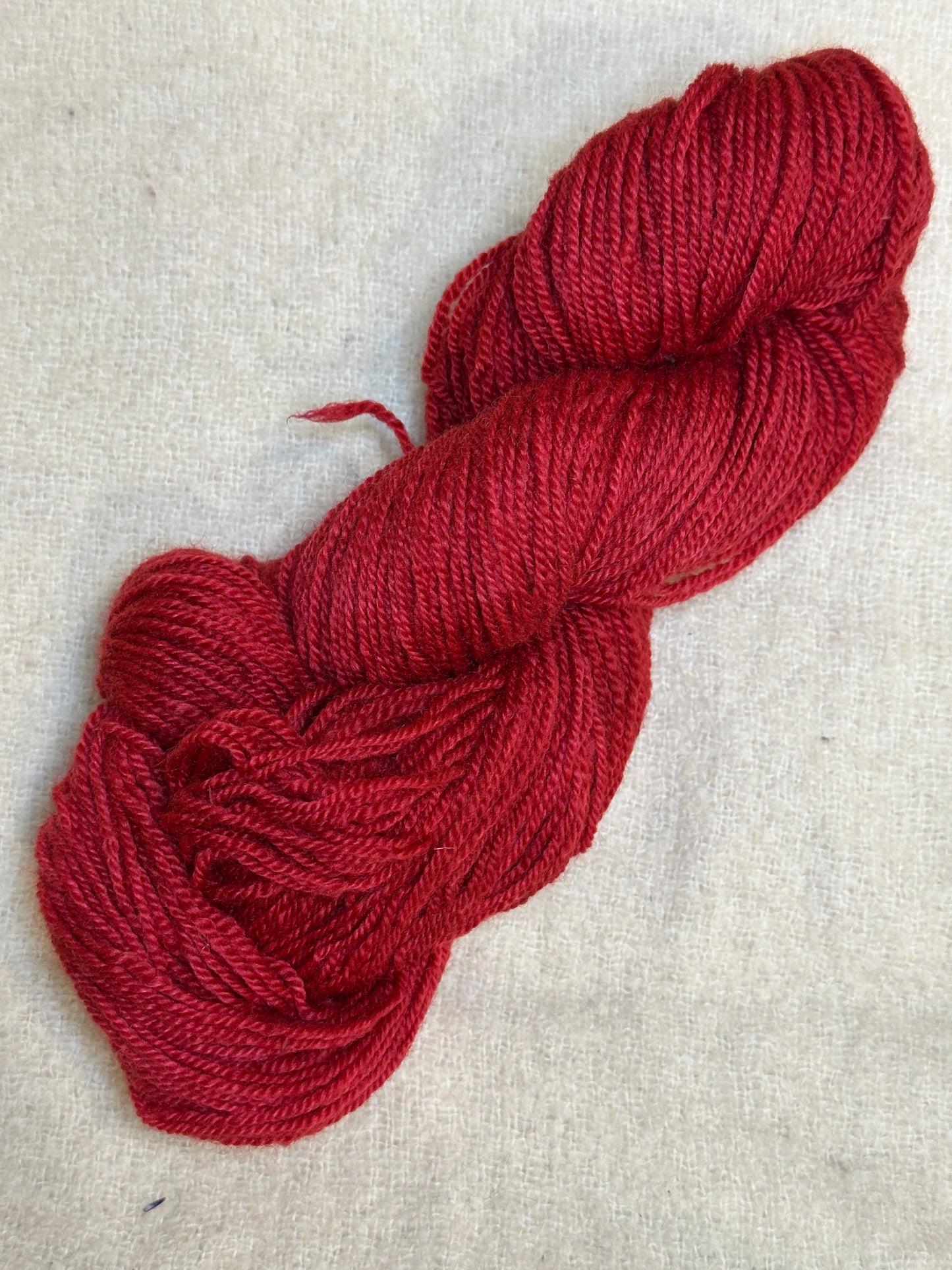 Maplemont BFL DK