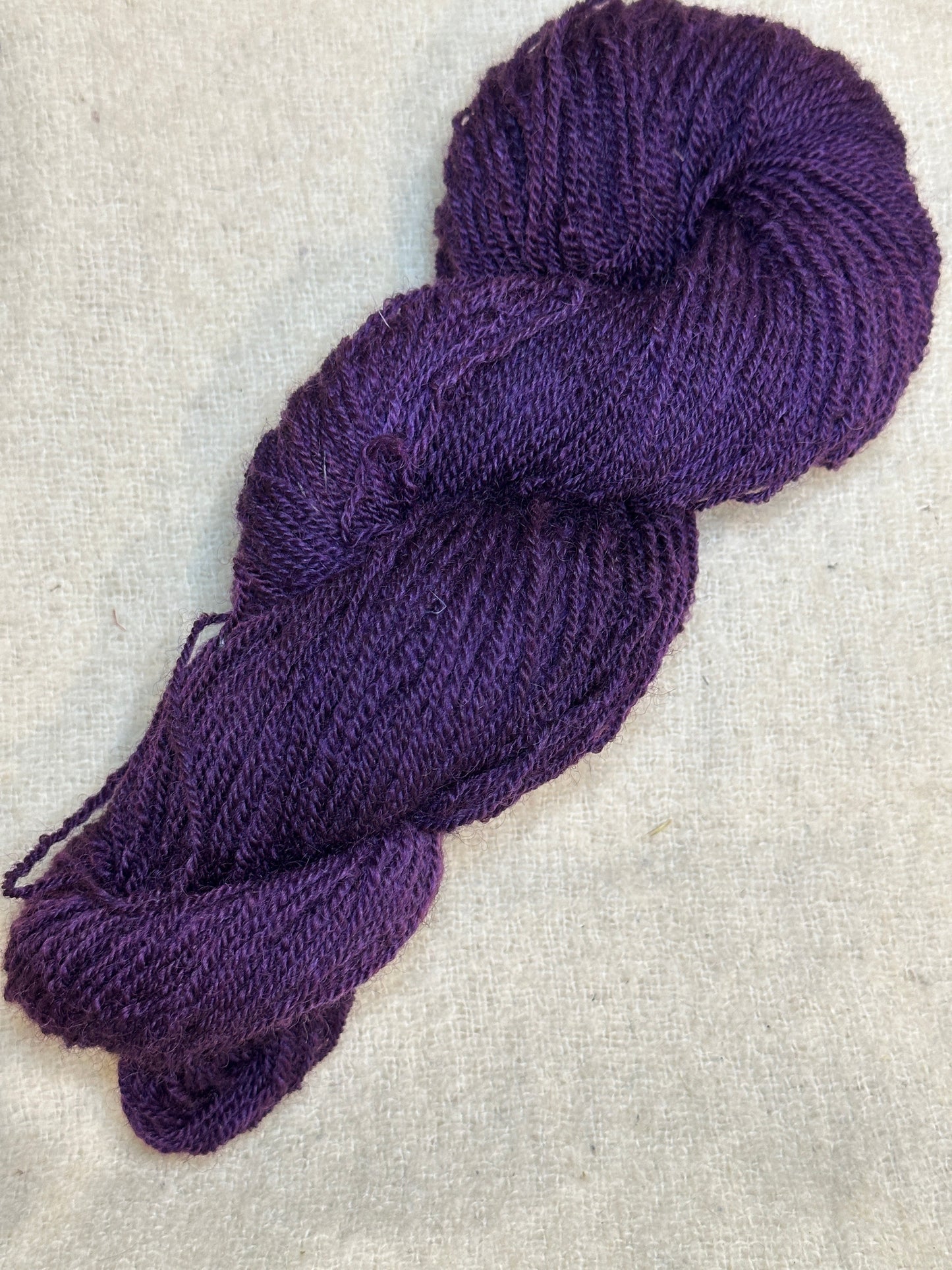 Maplemont Coopworth DK
