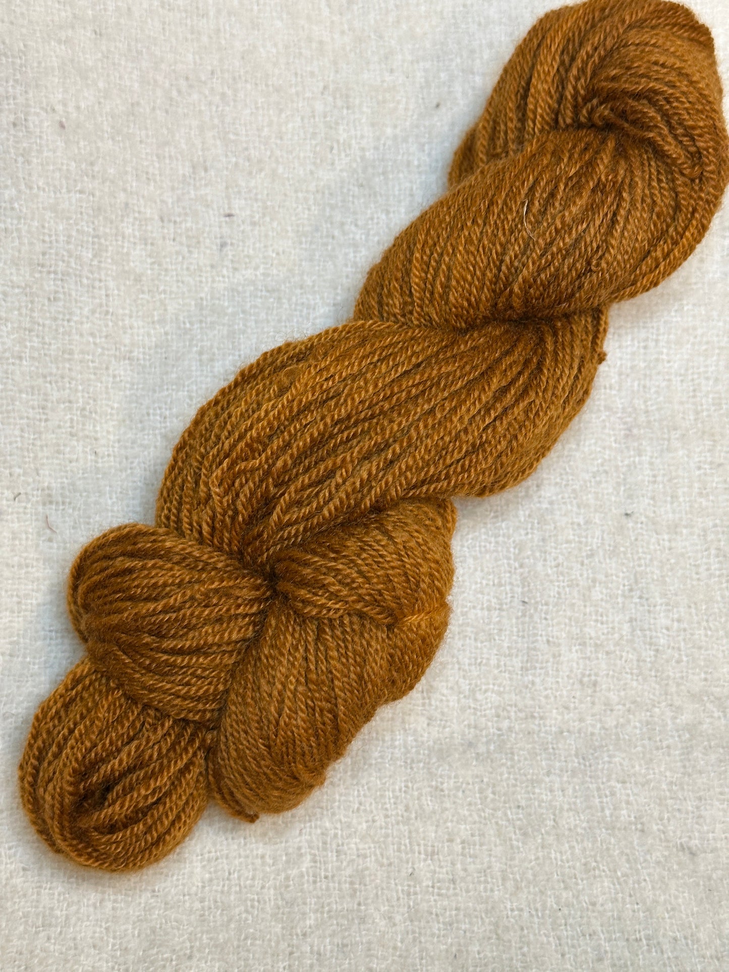 Maplemont BFL DK