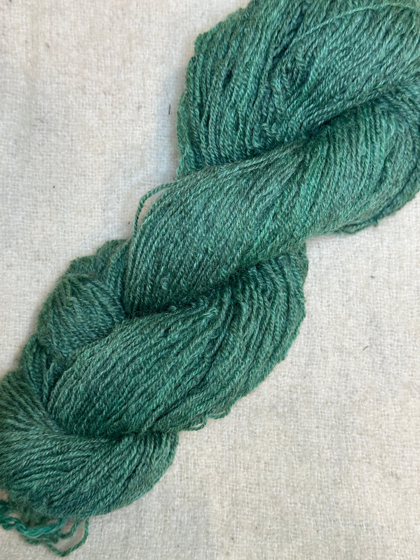 Maplemont Coopworth Sport