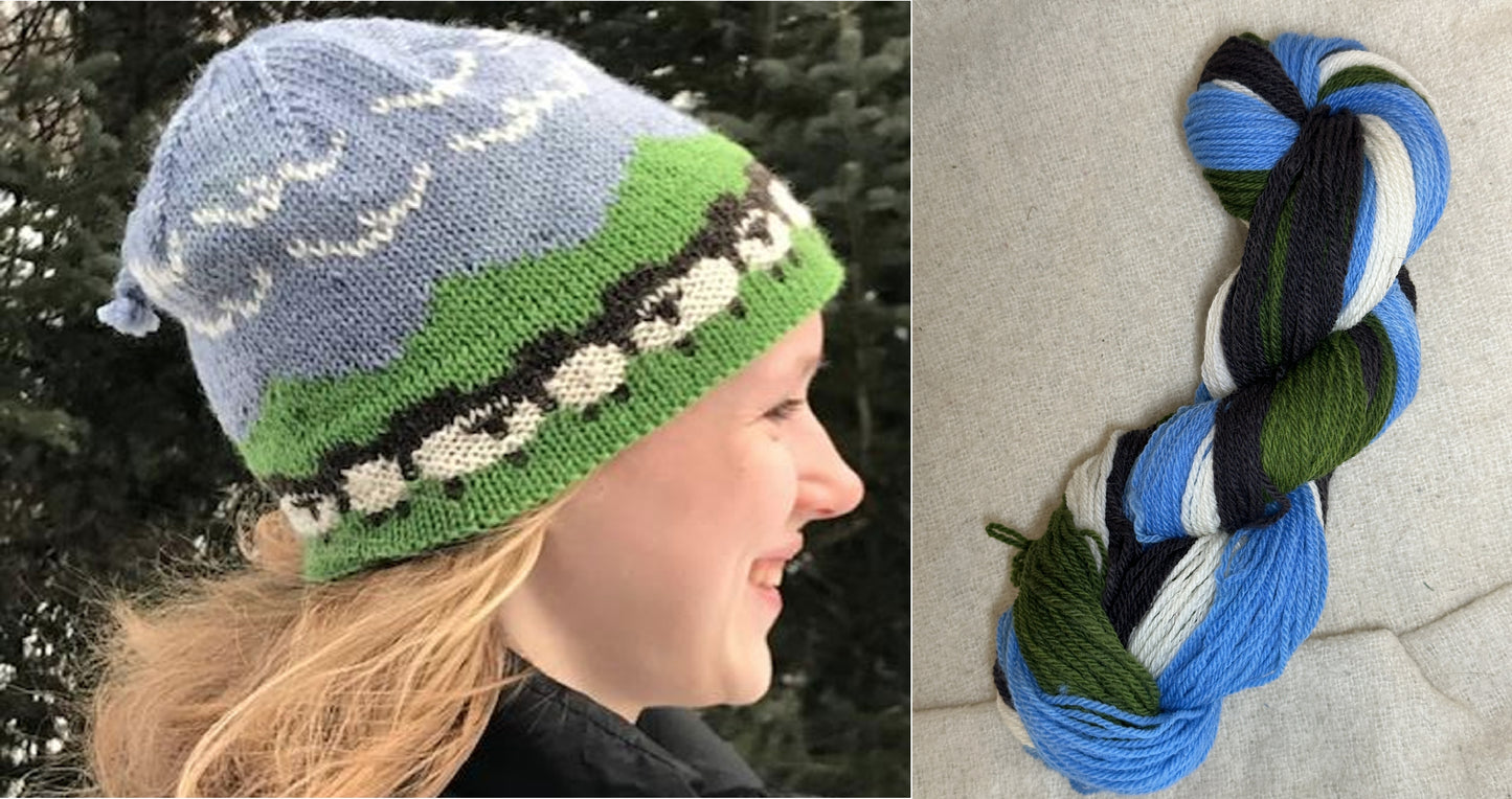 Vermont Sheepscape Hat Kits