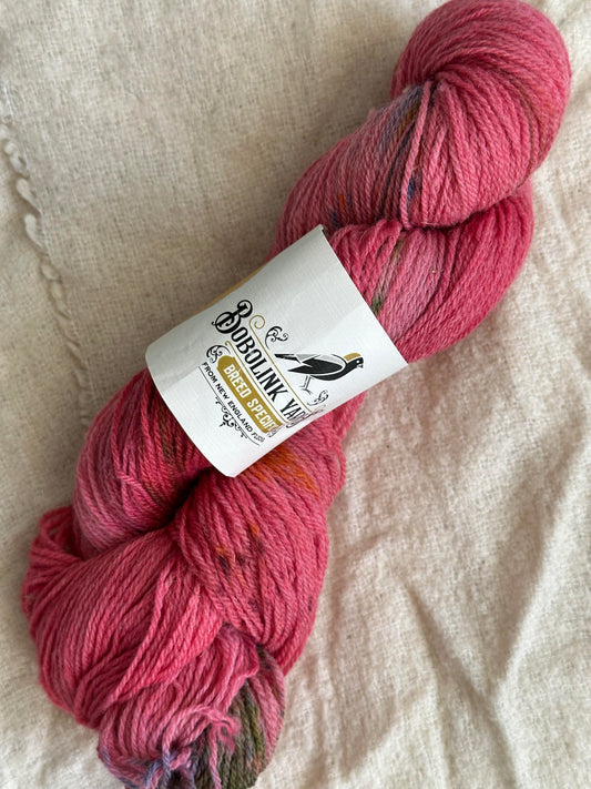 Settlement Sock